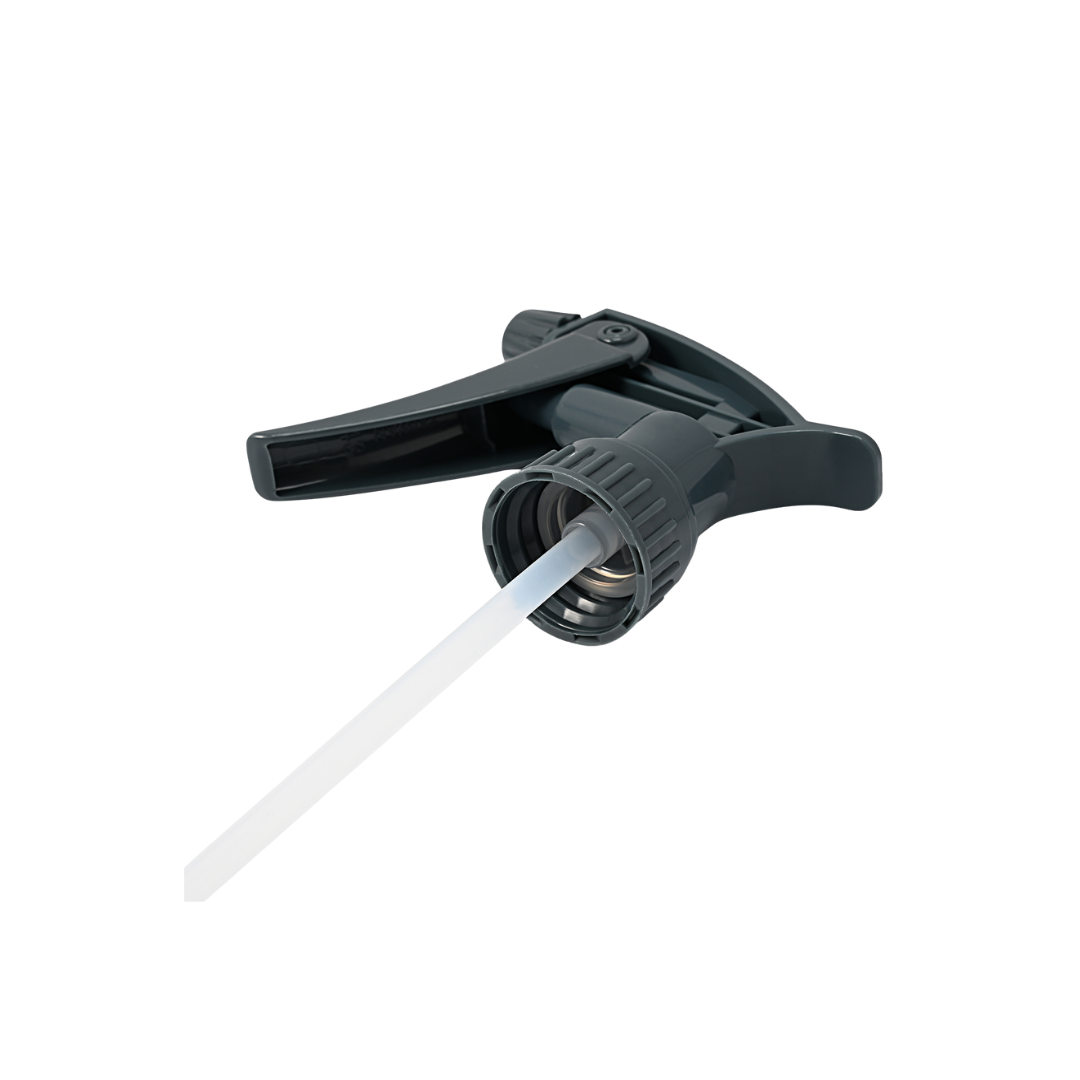 ���� ���� (���)