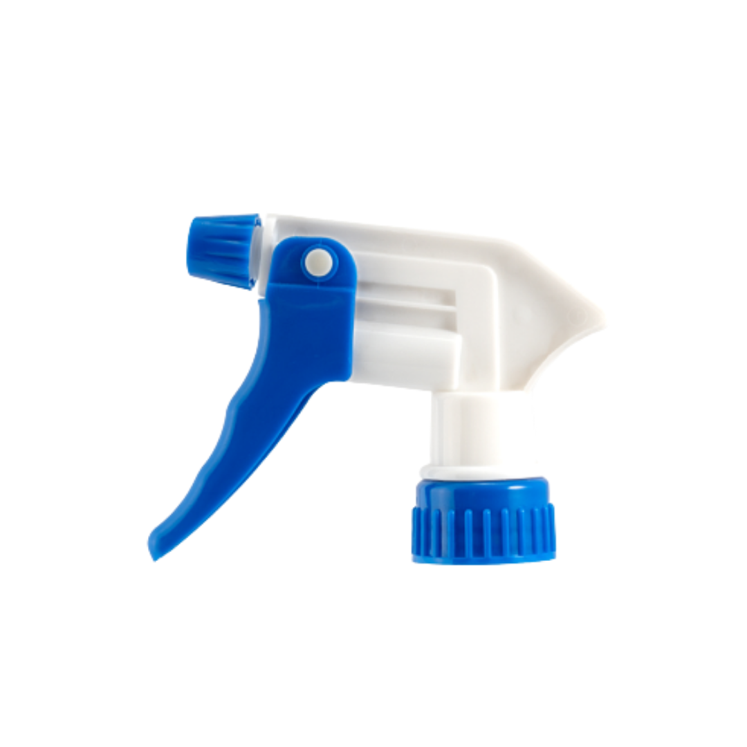 ���� ���� ����