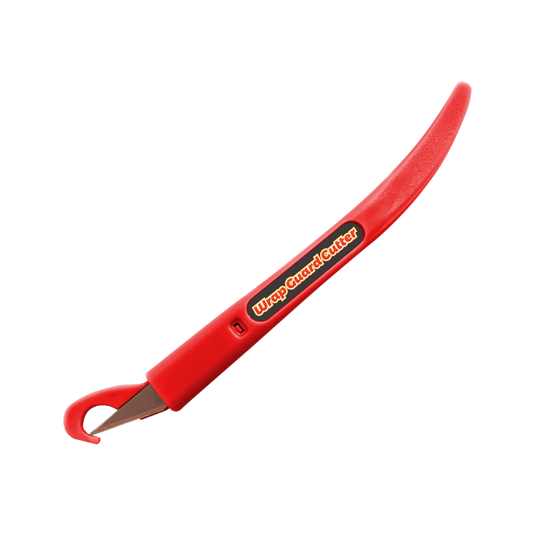 ���� ����� ������� (����)