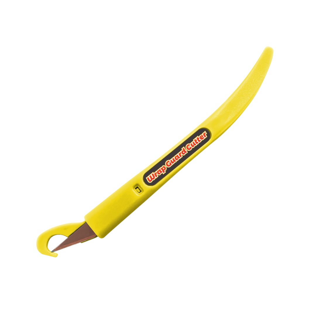 ���� ���� ���� (����)