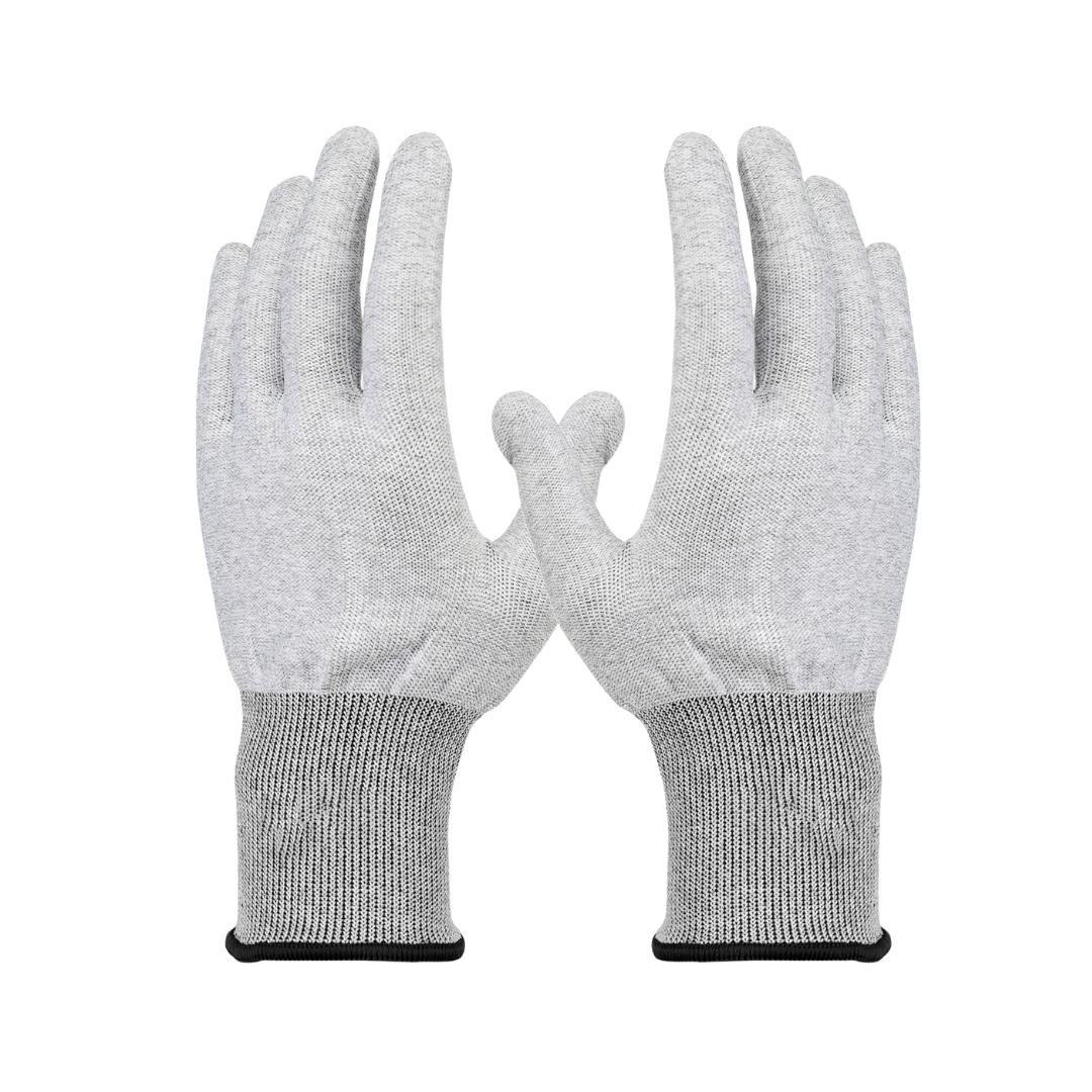 ���� ����� ����� �����