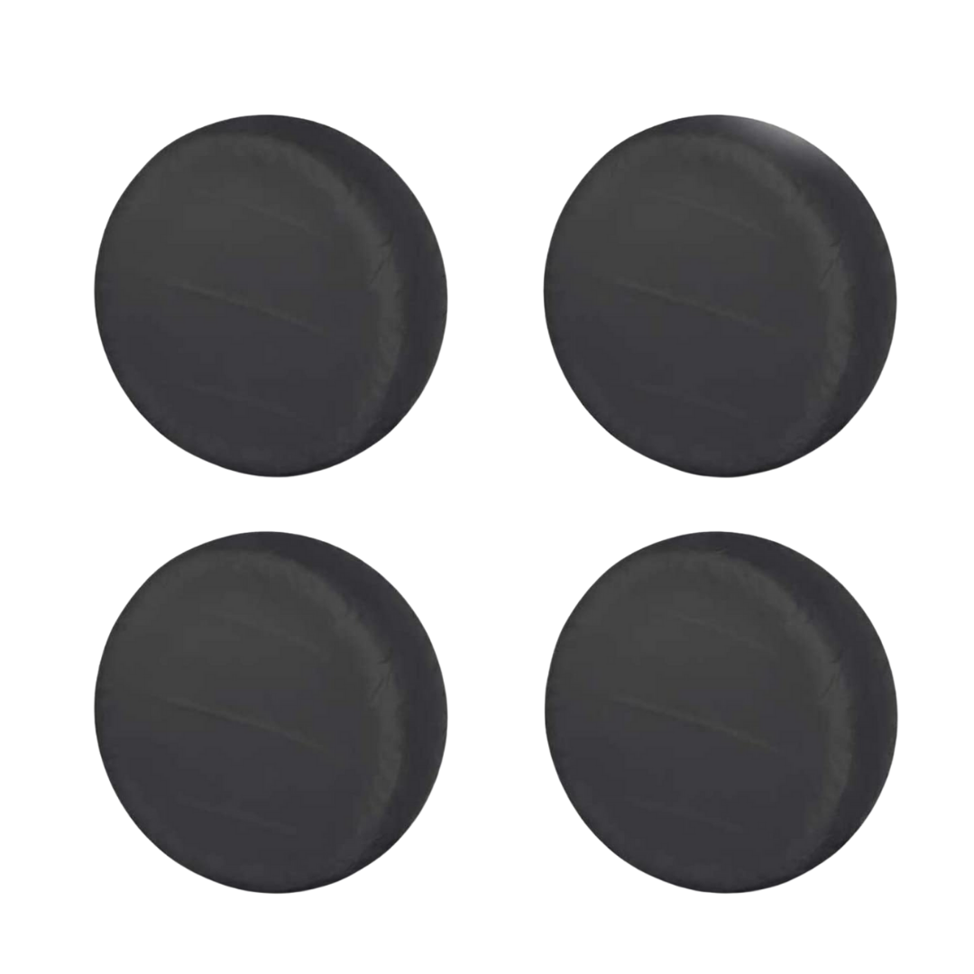 ���� ���� ����� ������