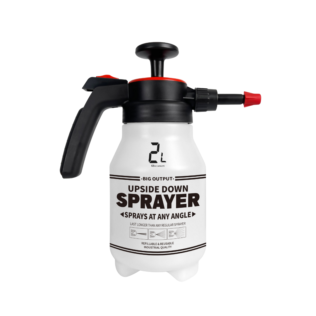 ���� ��� ��� ���� 2 ���